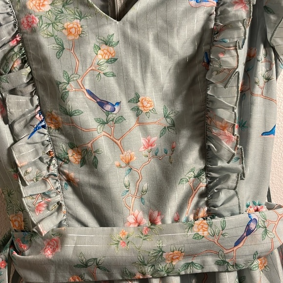 JessaKae XSmall perfect dress with Birds. - Picture 5 of 13